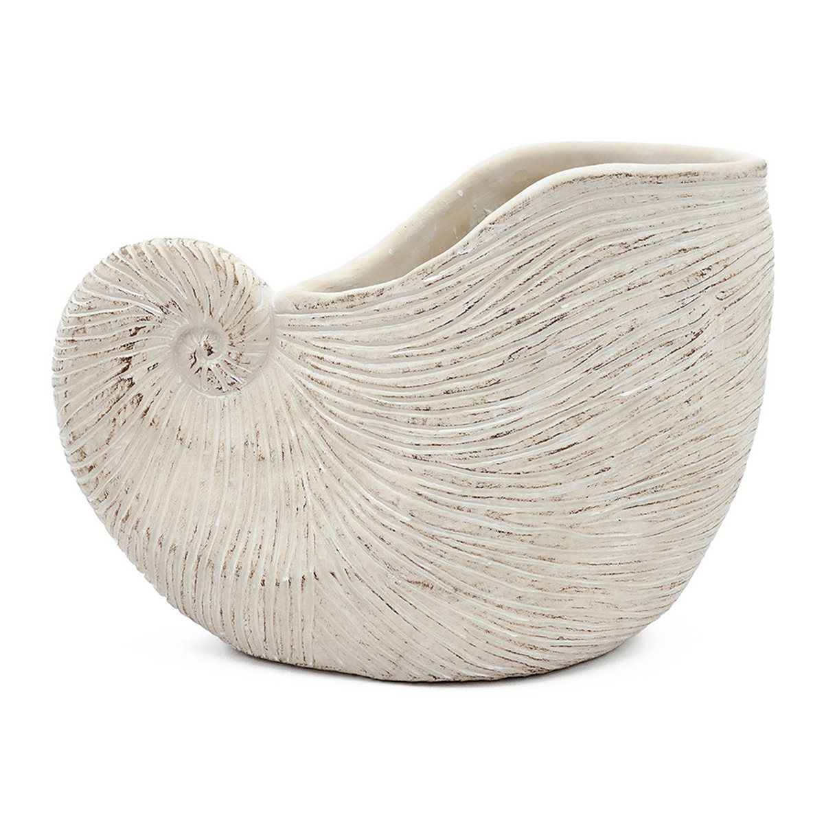 Breakwater Bay Sand and Cement Nautilus Shell Planter With Textured Beige Finish | Wayfair