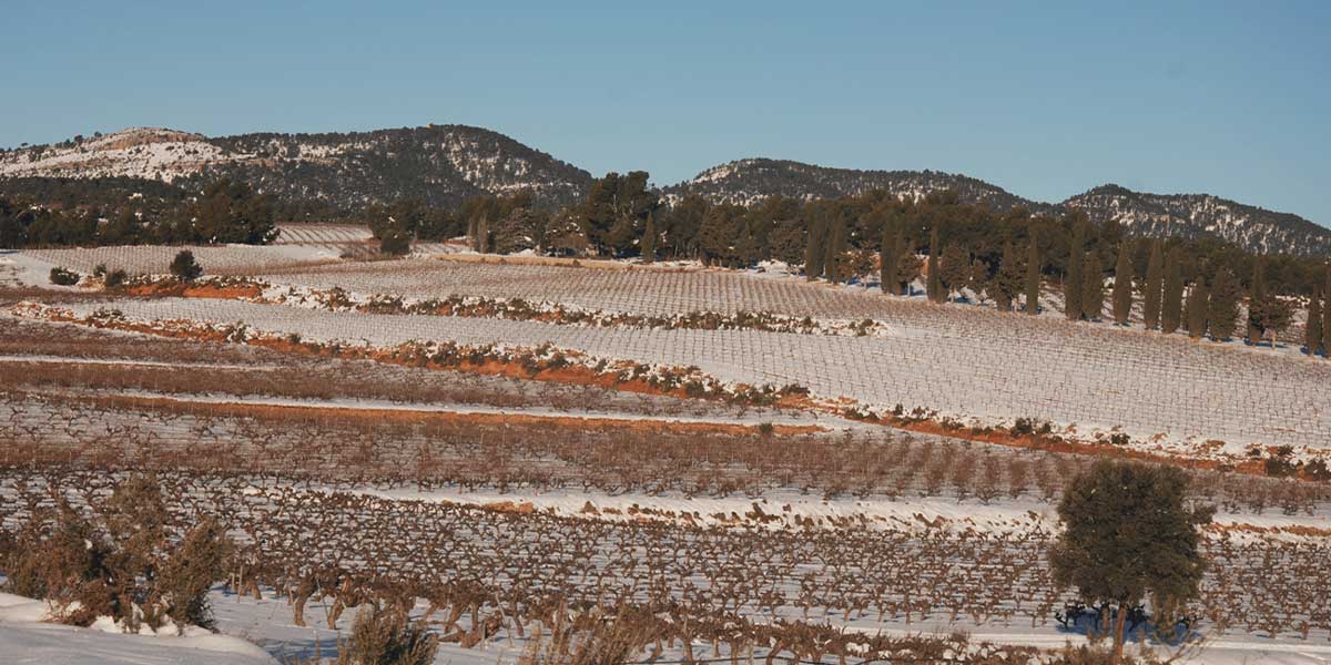 Bodegas Iranzo in winter