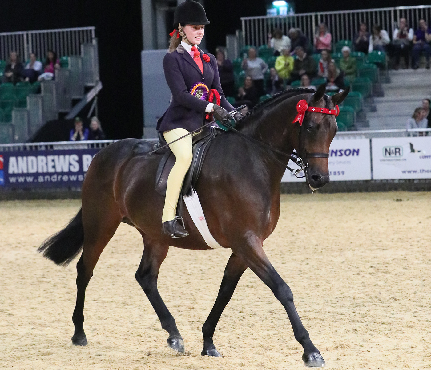 Amelia Lockhart and Absolutely Classic scoop the part-bred pony title at HOYS 2021
