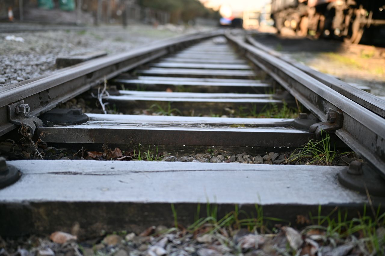 Nikon Z 35mm f/1.2 S example shot