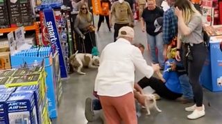 Dogs fighting in Home Depot