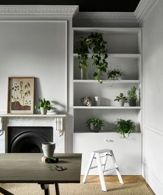 White room, plants on shelves