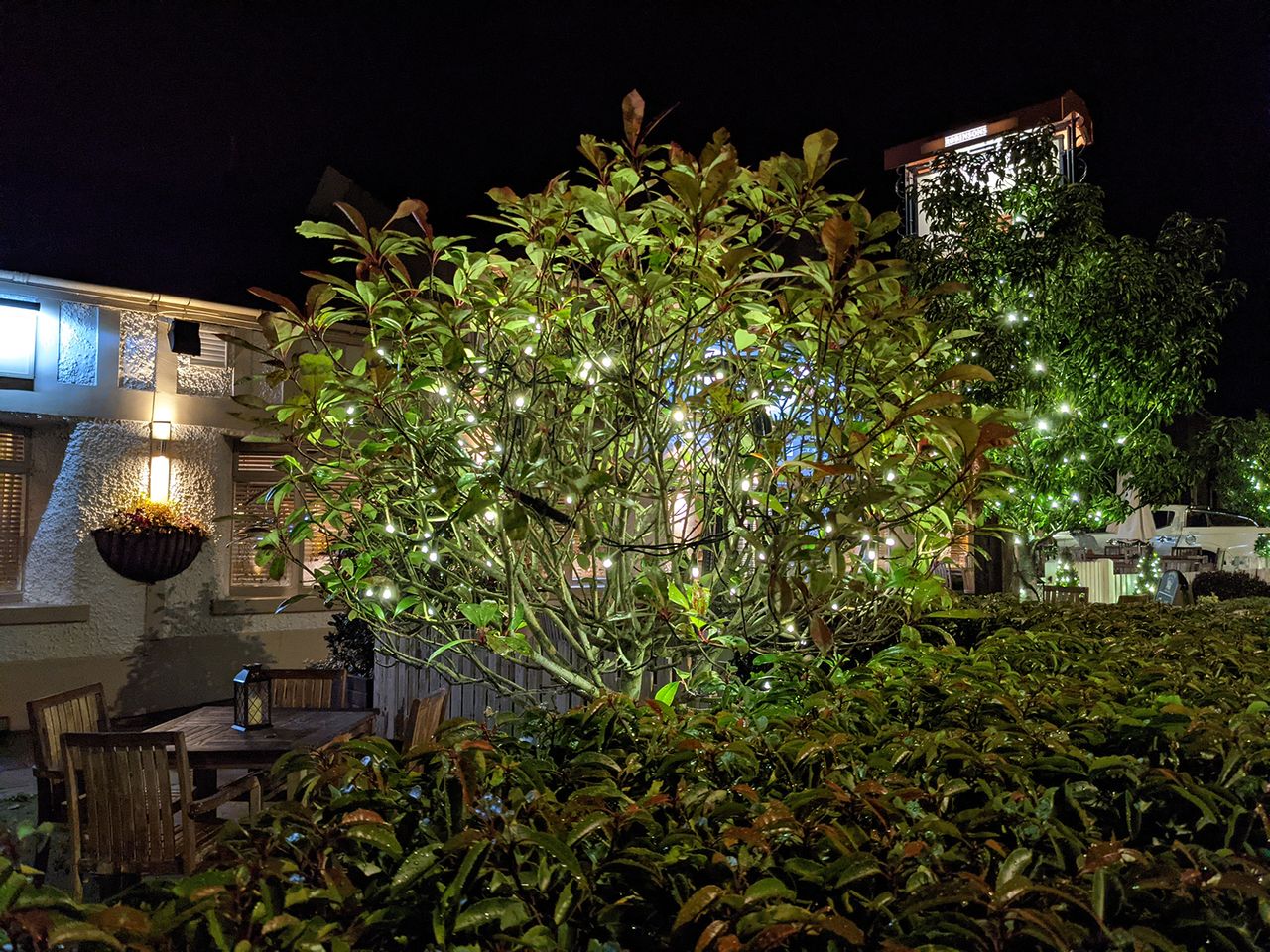 Google Pixel 5 camera sample