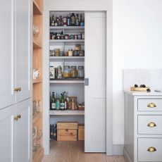 Walk-in pantry with grey pocket door