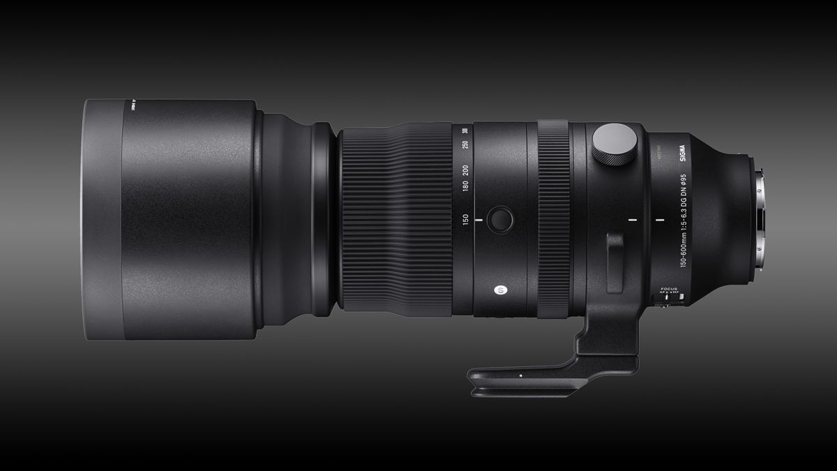 Sigma 150-600mm F5-6.3 DG DN OS | Sports