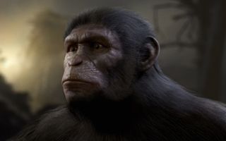 An ape from Planet of the Apes: Last Frontier