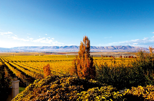 WAshington state wineries, Hedges Estate