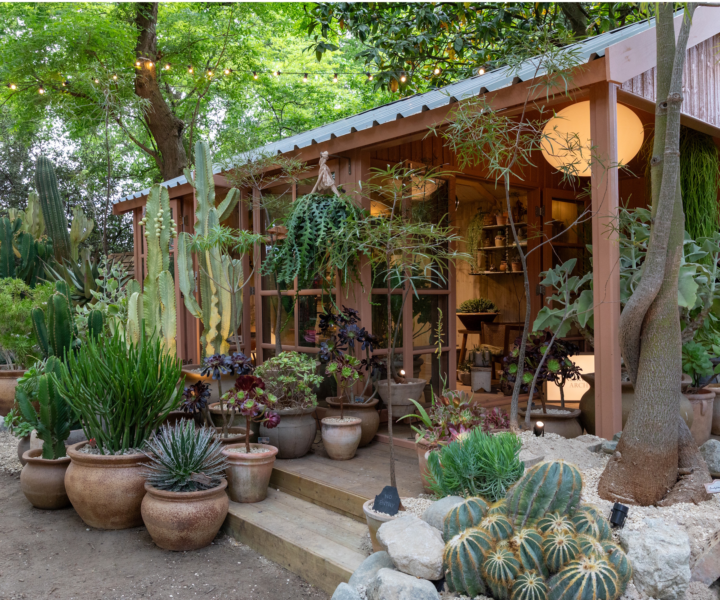 RHS Chelsea 2026 An Ode to Endurance