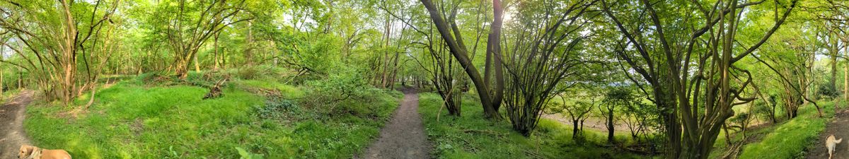 200 photos google pixel 8a vs google pixel 6 pro