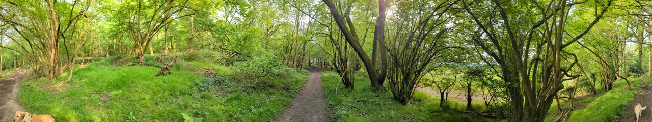 200 photos google pixel 8a vs google pixel 6 pro
