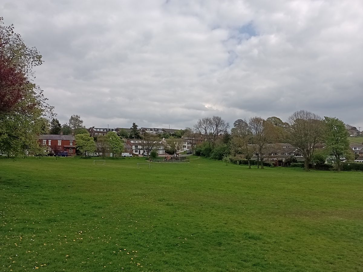 Moto G22 camera sample showing a park