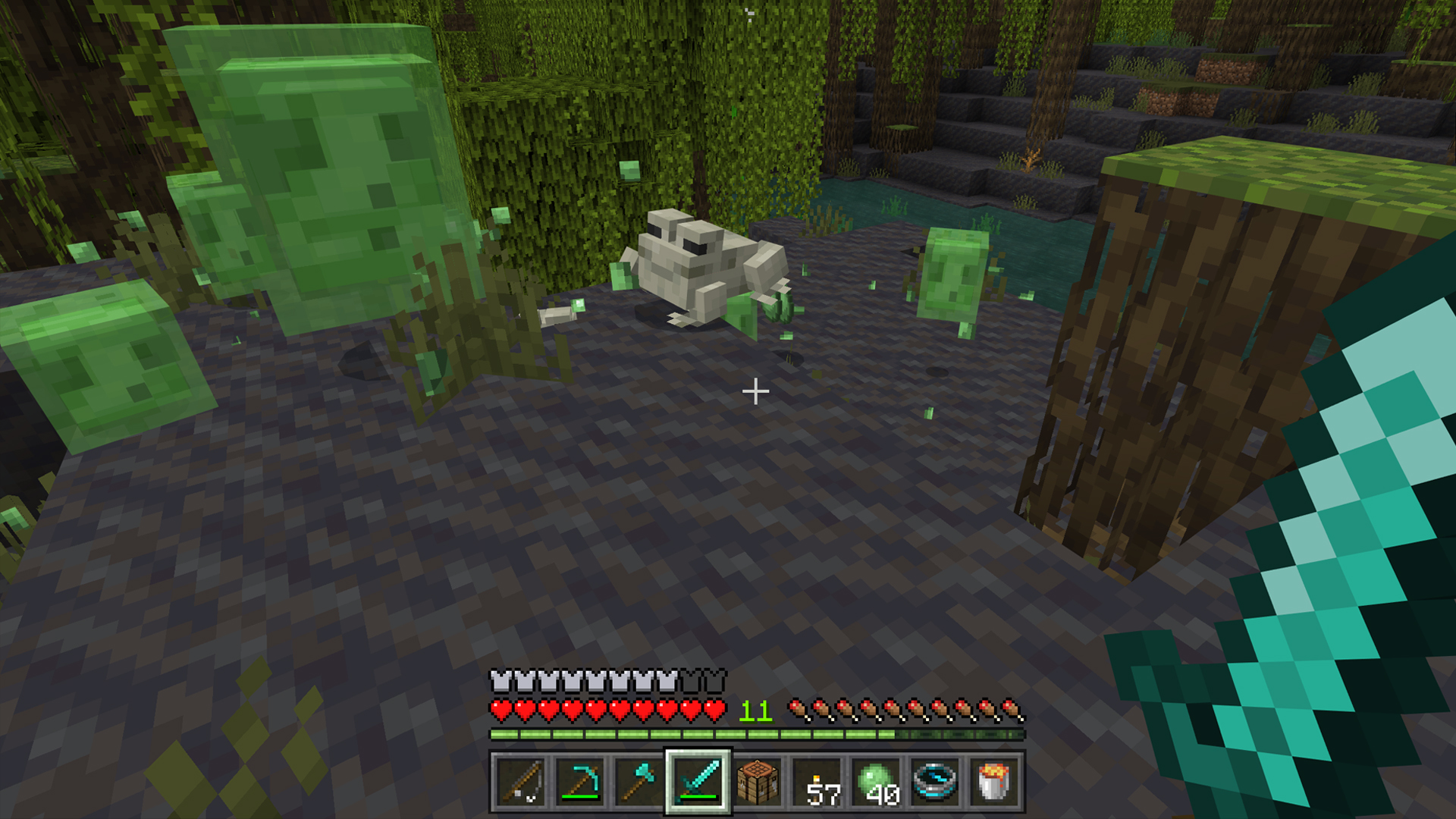 Minecraft Frogs