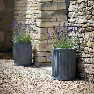 blue flower pots with stoned walls and pathway