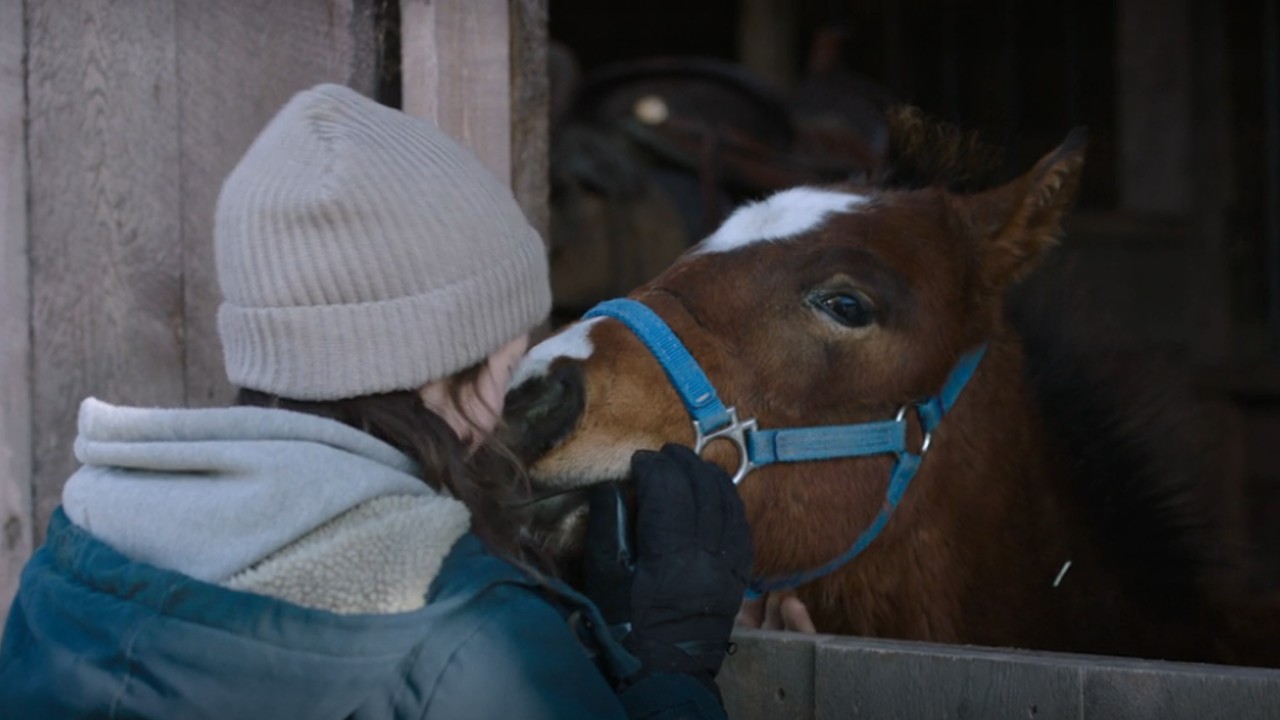 Die Letzte von uns, Bella Ramsey, die ein Pferd streichelt, wobei eine Hand auftaucht, um den Kopf des Pferdes zu halten.  Es ist ein Bearbeitungsfehler.