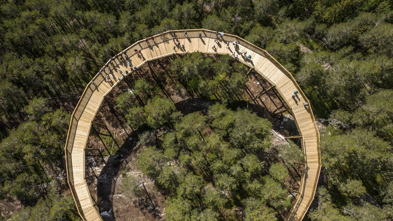 Wooden elevated walkway, Hamaren Activity Park, Norway, by EFEKT