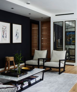 Downlighters in a black minimalist scheme demonstrating small living room lighting ideas.