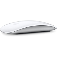 Apple Magic Mouse |$67.99 at Amazon