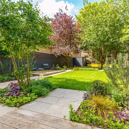 With wine cellar and a sunken sofa Hammersmith Grove is off the scale ...