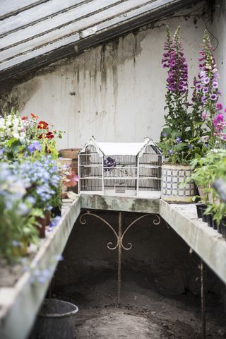 vintage greenhouse