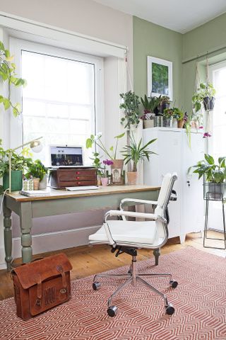 Home office with green painted walls, red and white rug, green desk, white desk chair and a collection of houseplants