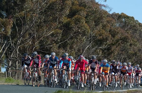 The peloton were content to roll along the flat roads out the back of Echuca as they headed for Kyabram.