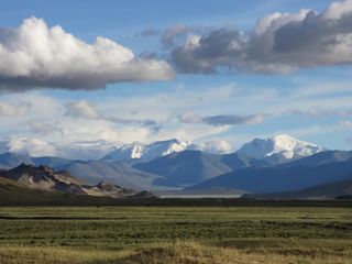 tibetan plateau oldest prints