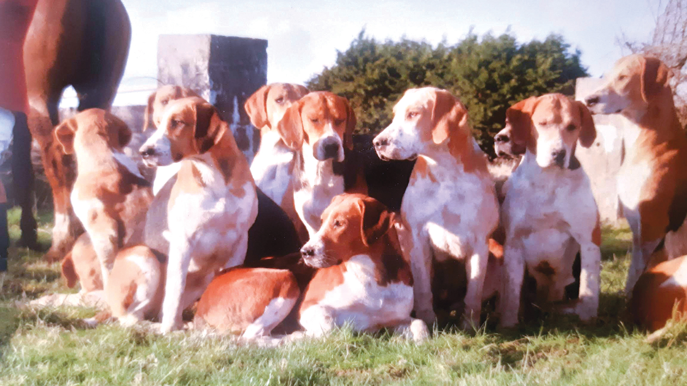 HAH299.ht_hounds.limerick_secret_rm.jpg