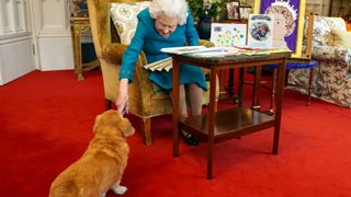 Queen Elizabeth II is joined by one of her dogs, a Dorgi called Candy, as she views a display of memorabilia from her Golden and Platinum Jubilees