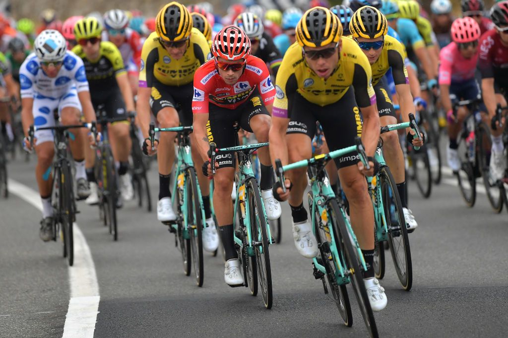 Primoz Roglic (Jumbo-Visma) in the peloton on stage 19