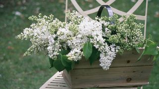 basket of lilac on rustic chair