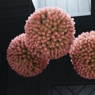 hanging woodbox pink topiary cloud flowers