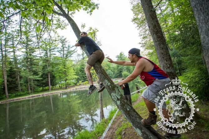 Climbing a tree gave spectators a good viewpoint