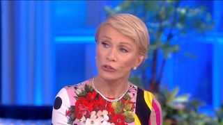 Barbara Corcoran The View screenshot