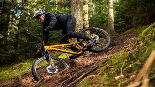 New colors and budget-friendly pricing could make the Ariel range worthy contenders in the best mountain bike market