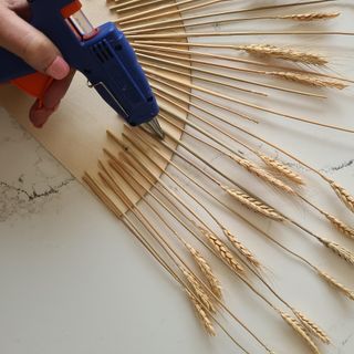 gluing wheat stem to wooden disc