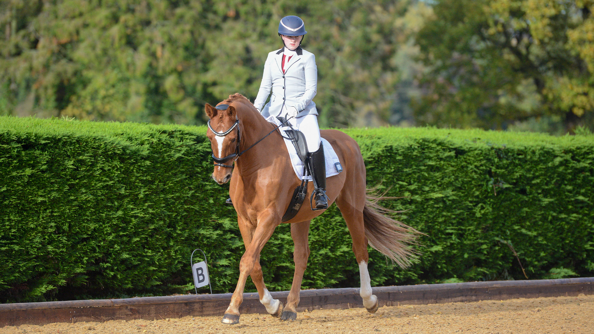 Woman riding dressage test on chestnut horse