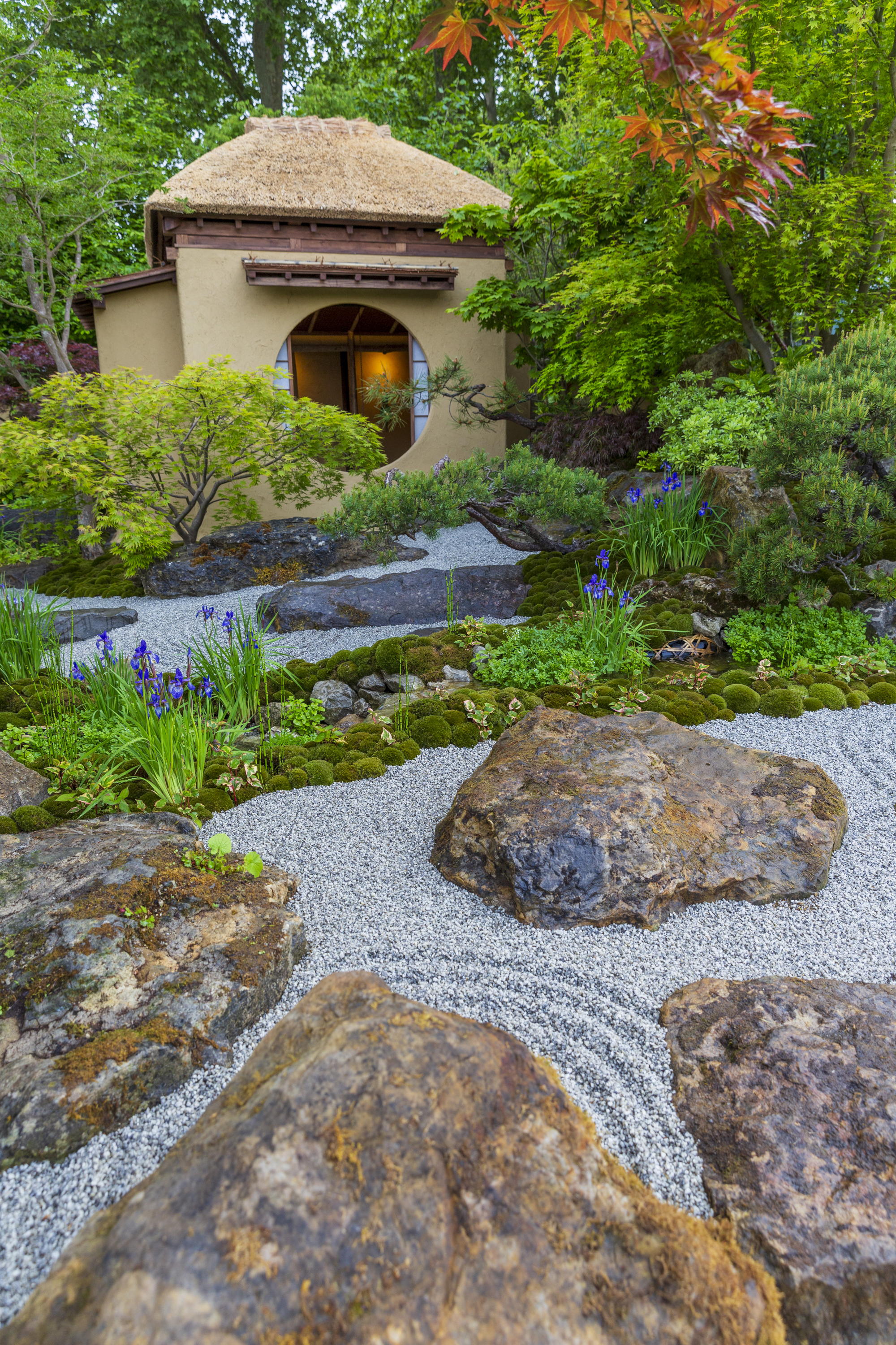 Cha no Niwa - Japanese Tea Garden at RHS Chelsea Flower Show 2025