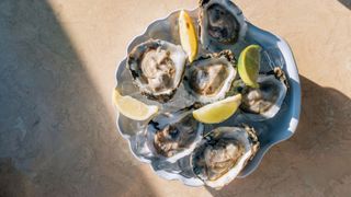 Plate of oysters with cut lemon wedges