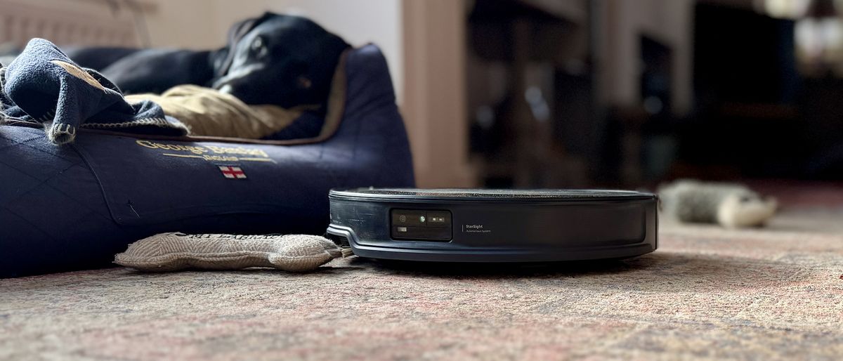 Roborock Saros 10R robot vacuum and mop with dog asleep behind