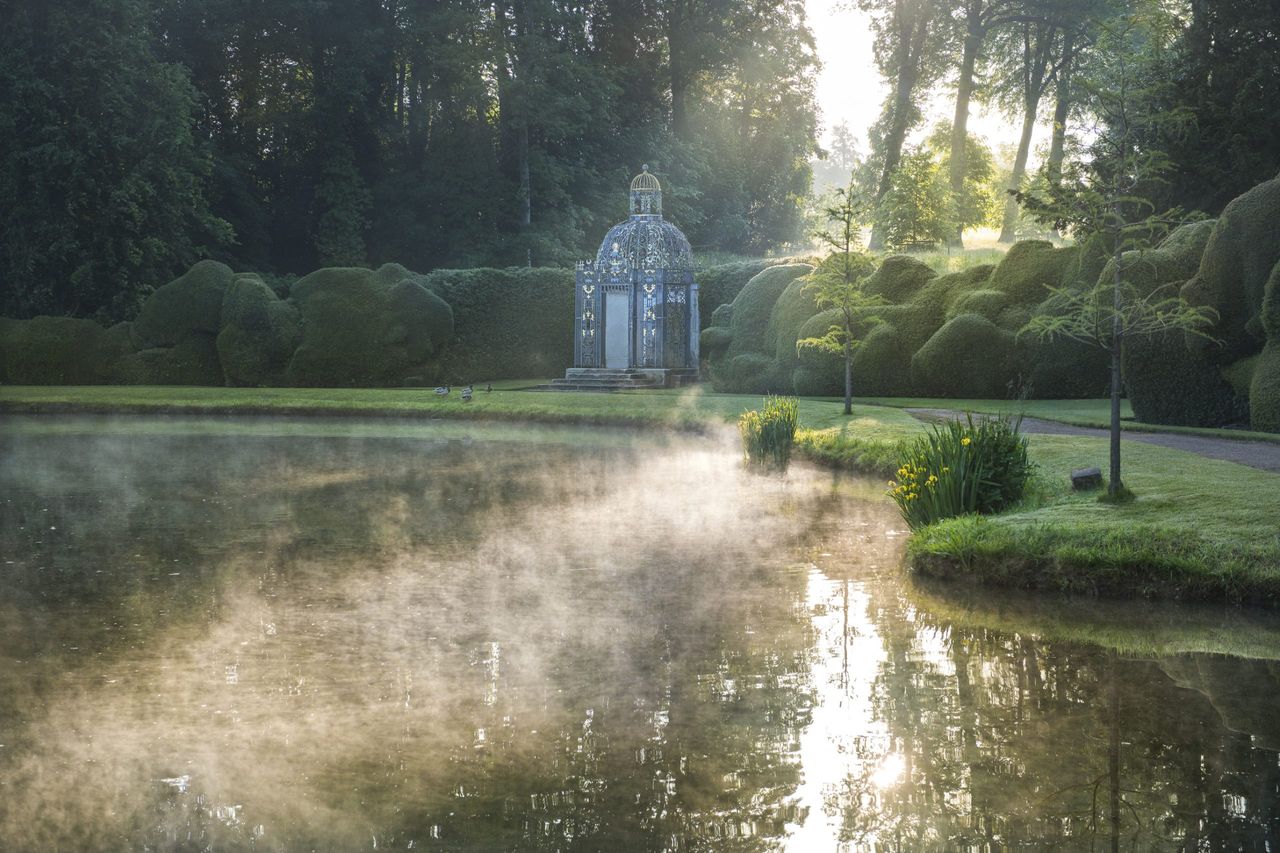 Water Illuminated, taken at Melbourne Hall Gardens, Derbyshire, by Andrea Jones, part of the winning portfolio in the RHS Botanical Art and Photography Show 2024. ©Andrea Jones