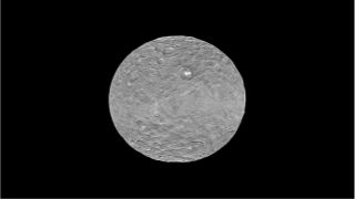 The dwarf planet Ceres may help scientists learn about the history of the solar system.