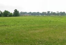 field3.jpg