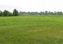 field3.jpg