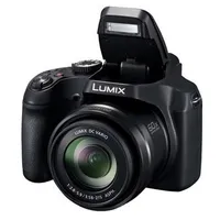 Panasonic Lumix FZ80D Panasonic Lumix FZ80D