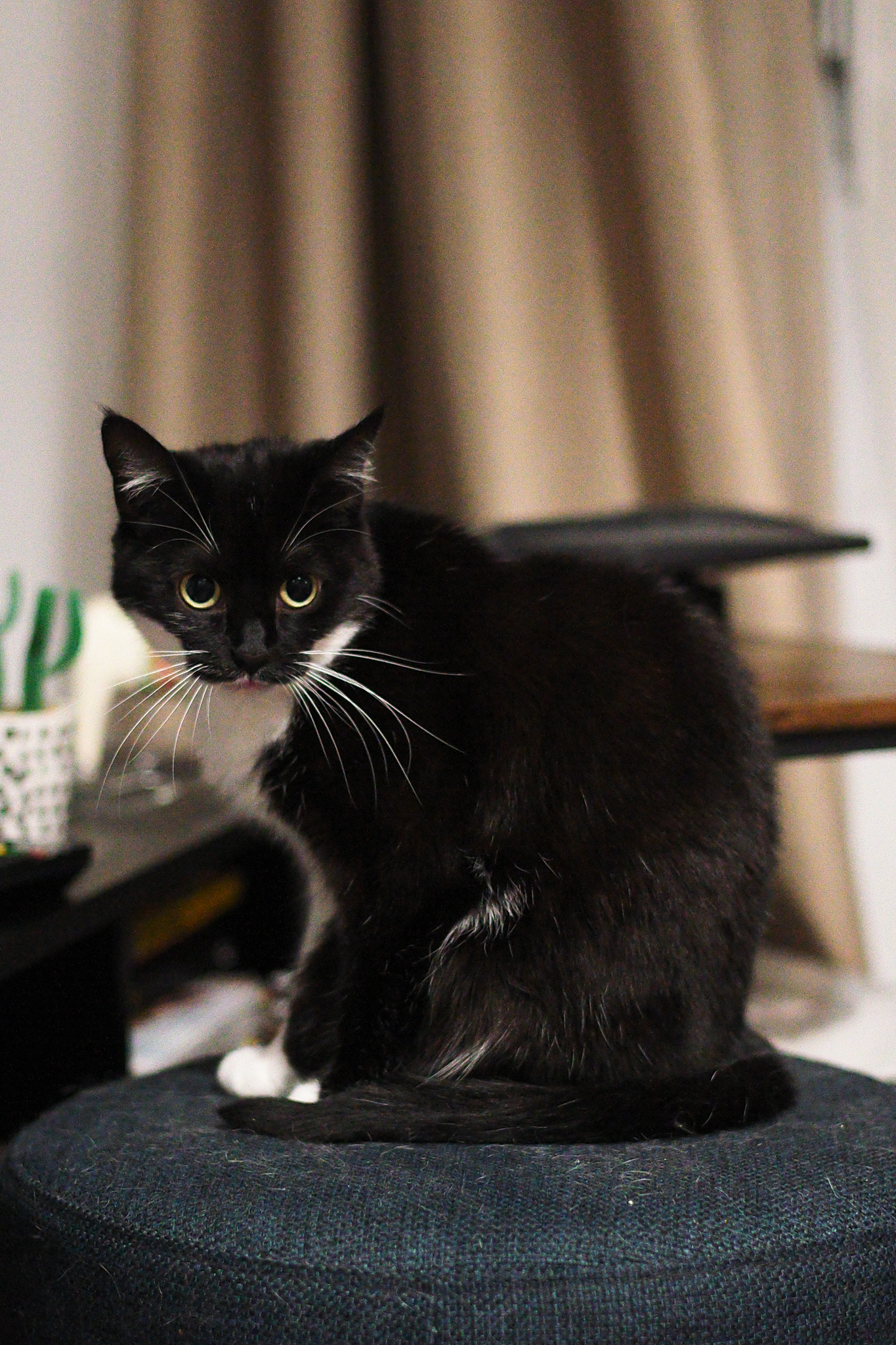 A photo taken on a Leica M EV1 rangefinder-style digital camera