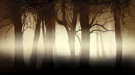 Silhouetted trees rise against a hazy, dimly-lit backdrop, creating a mysterious and eerie forest atmosphere