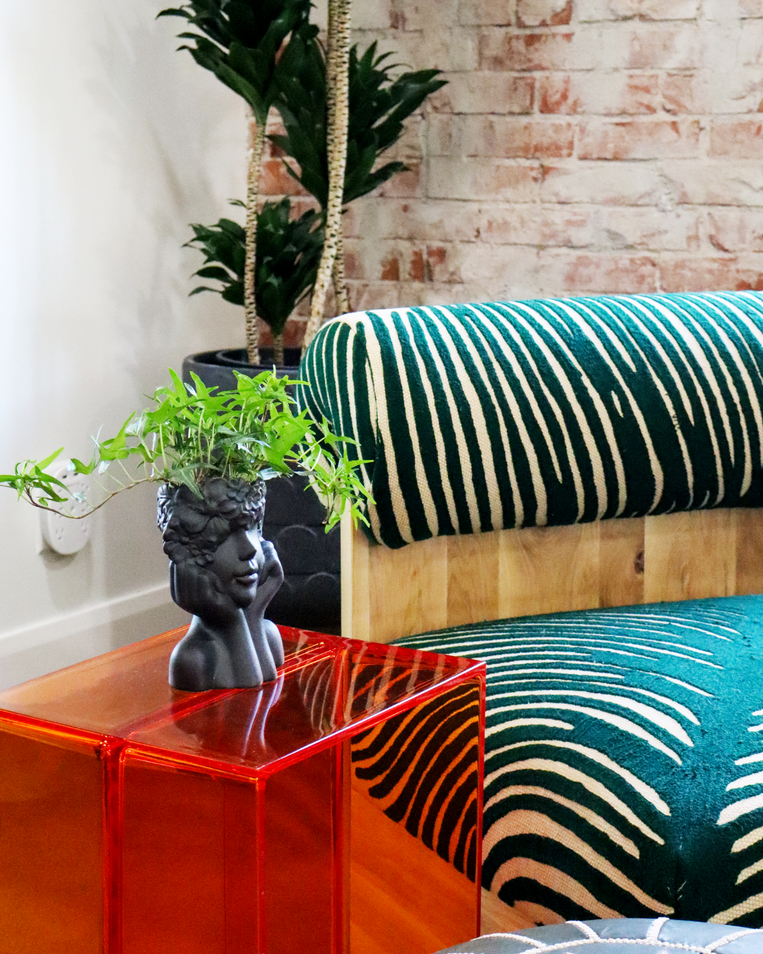 A green zebra pint accent chair sits next to a red acrylic coffee table on which a bust plant pot is sitting.
