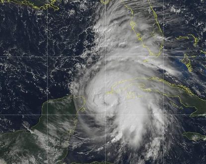 hurricane michael