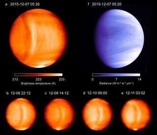 A huge, bow-shaped wave in Venus' atmosphere stays stationary compared to the surface topography, represented with white outlines here.