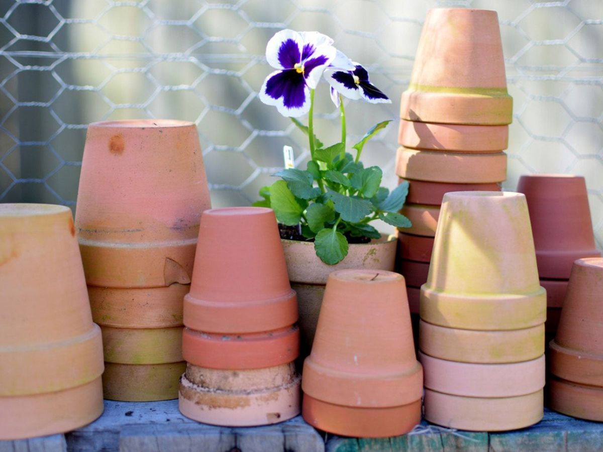 DIY Flower Pot Christmas Tree: Making A Terra Cotta Christmas Tree